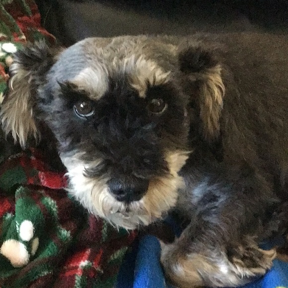 Meet your Posher, Michelle - Picture 1 of 1